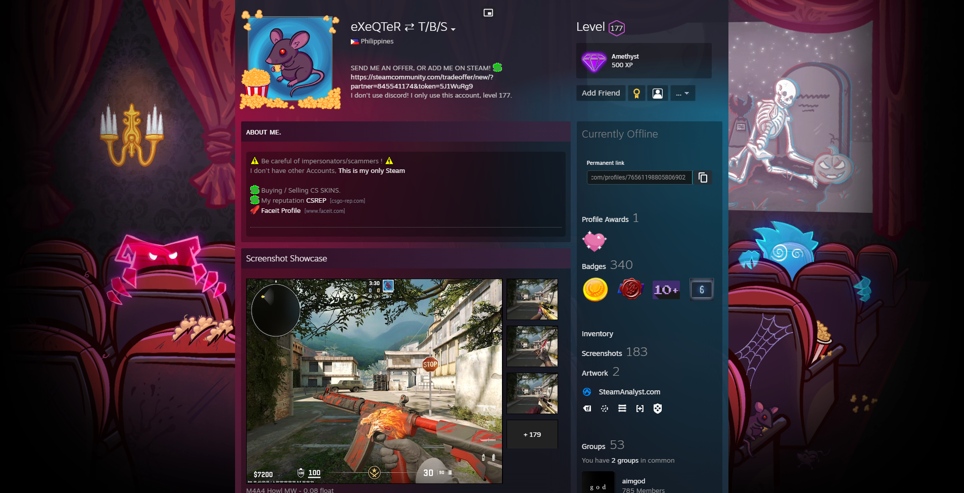 Steam Profile